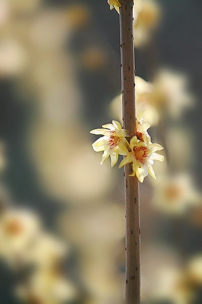 2012 051.jpg