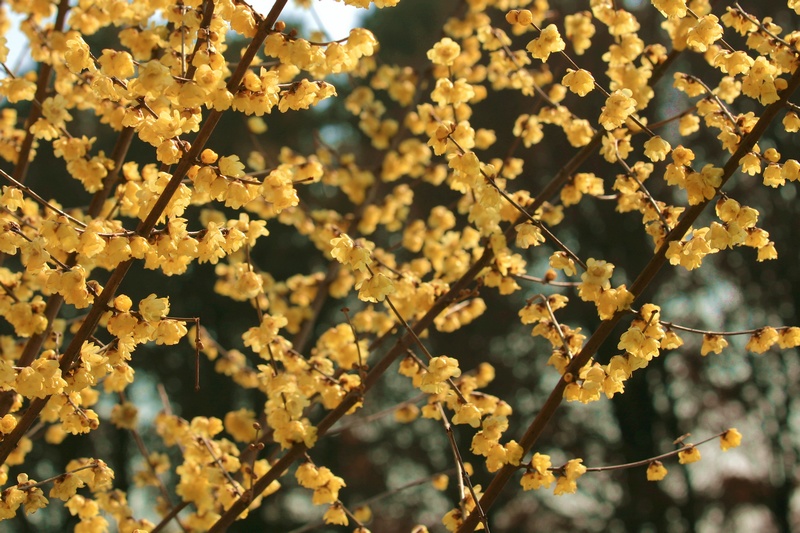 2012 089.jpg