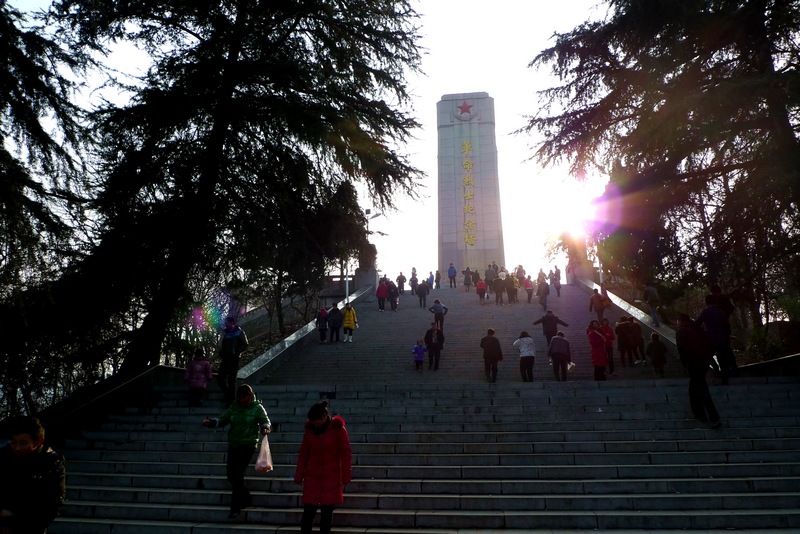 P1300261.jpg