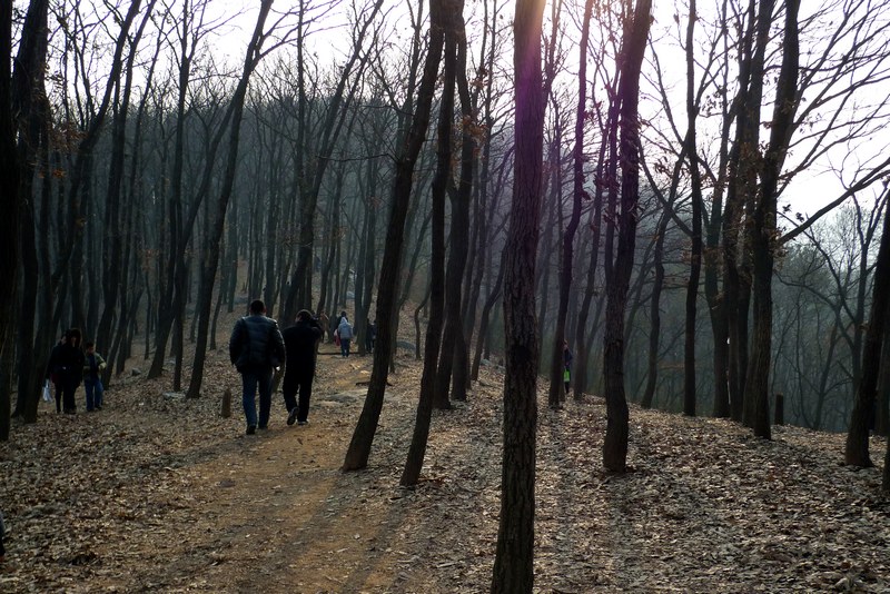 P1300272.jpg