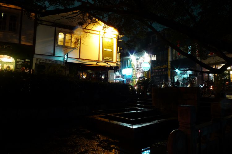 P1110804.jpg
