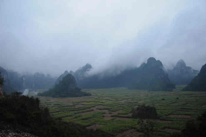 DSC_0297.jpg