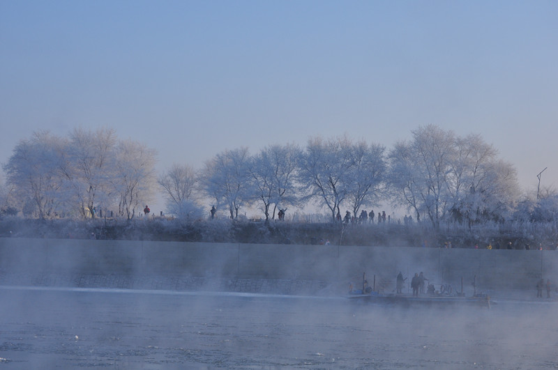 DSC_0391_.jpg