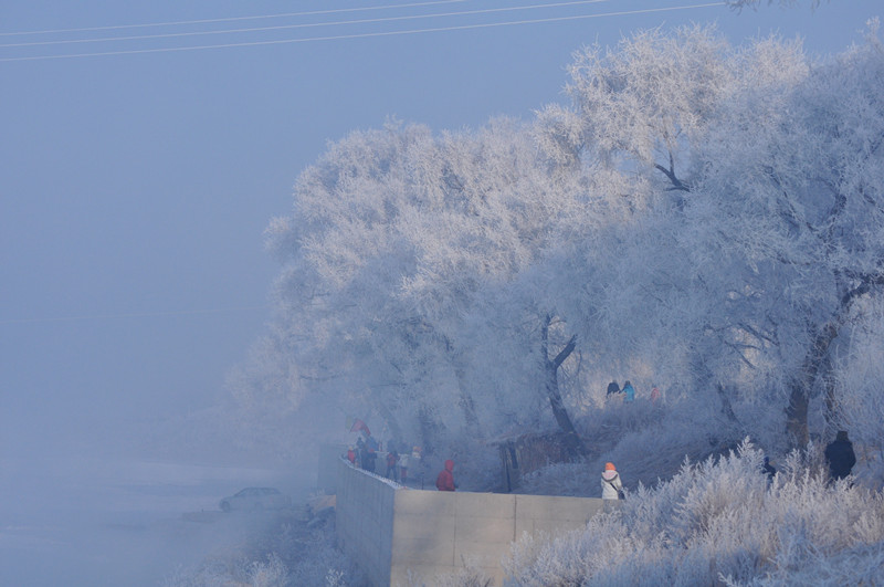 DSC_0187_.jpg