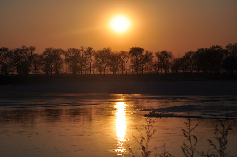 DSC_0534_.jpg