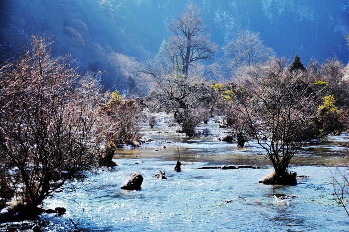 Ƭ 041.jpg
