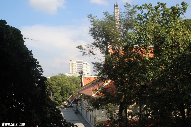 IMG_4640_.jpg