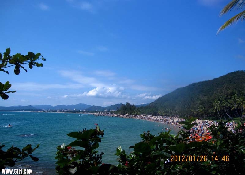 IMG_4186.jpg