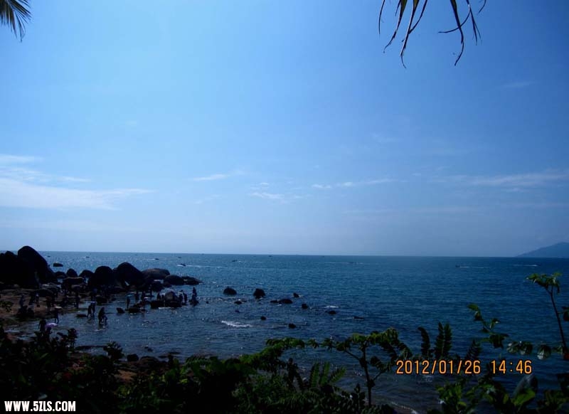 IMG_4187.jpg