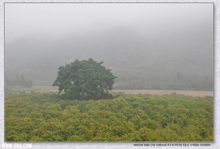 DSC_0665.jpg