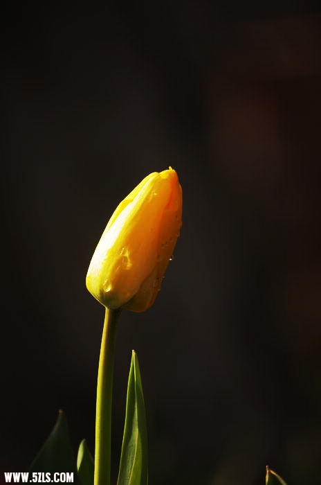 IMGP5676.jpg