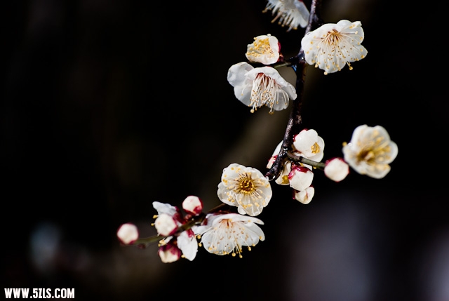 20120208-IMGP3758.jpg