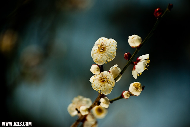 20120208-IMGP3761.jpg