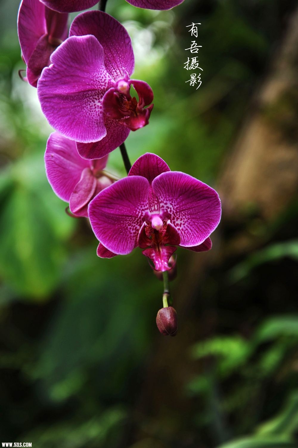 DSC_1268.jpg