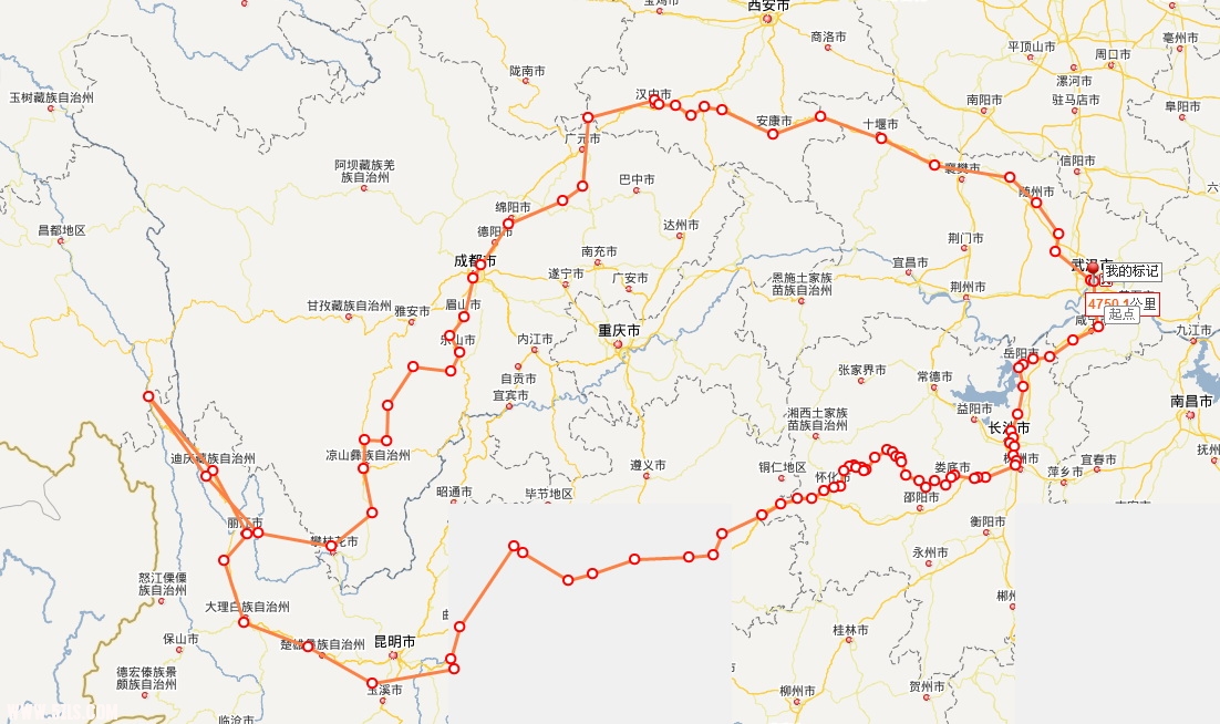 在中国西南画