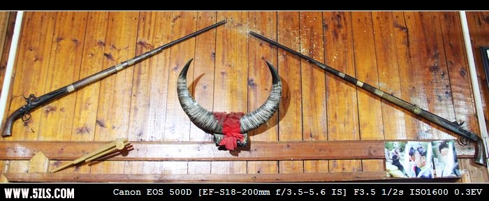129.jpg