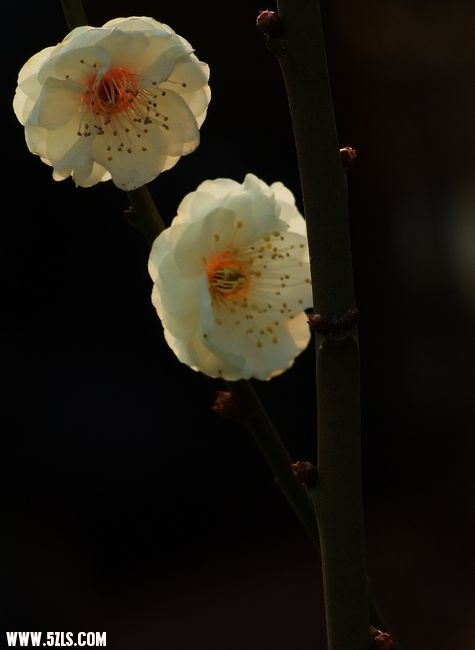 照片 067.jpg