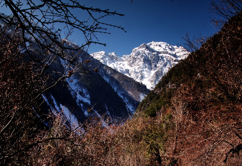 IMG_0960.jpg