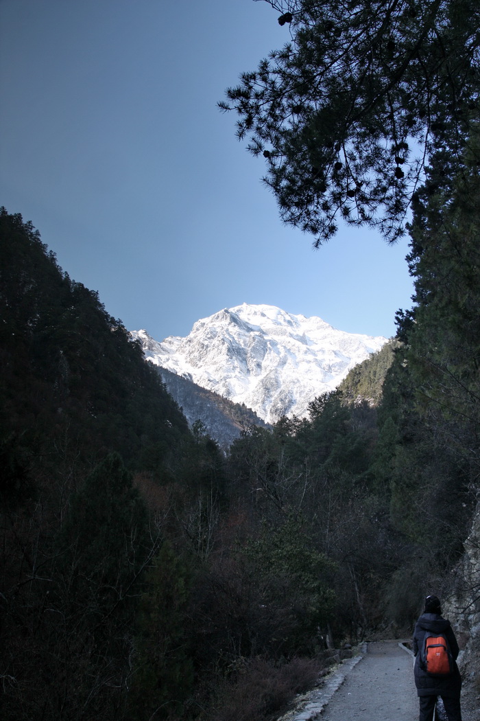 IMG_0952.jpg