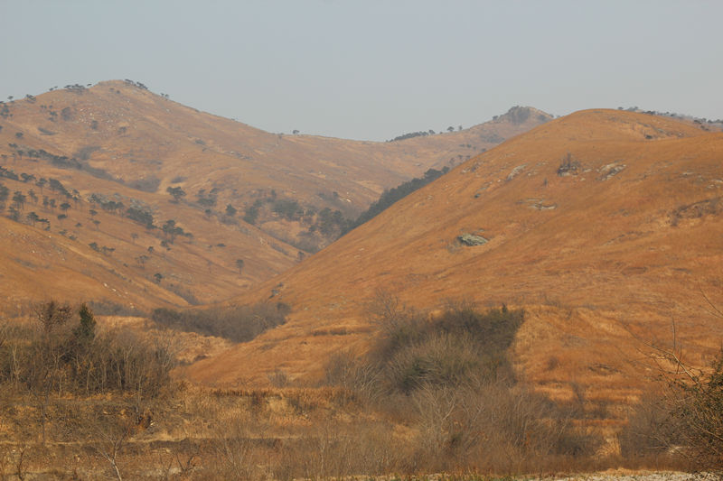 img_5279_.jpg