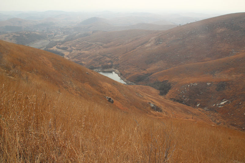 img_5472_.jpg