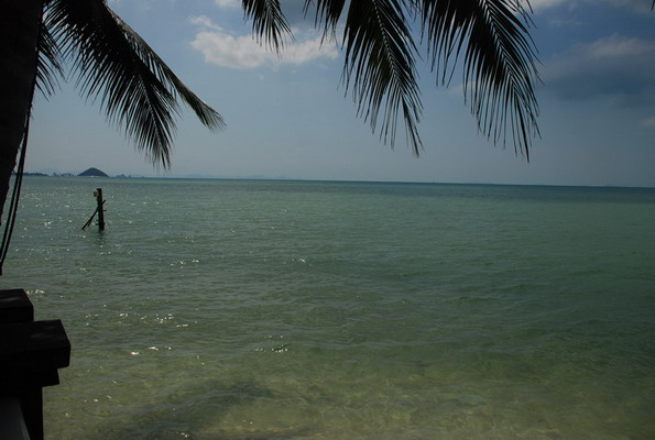 DSC_0861.JPG
