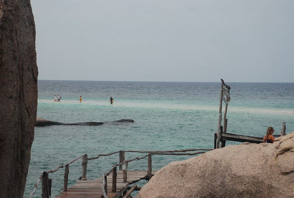 DSC_0931.JPG