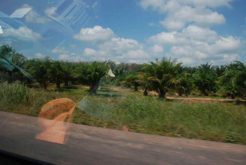 DSC_0085.JPG