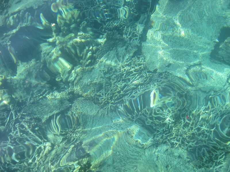 IMG_4396.JPG
