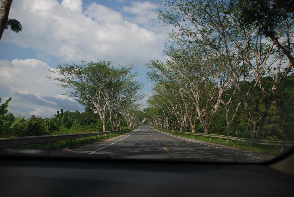 DSC_0208.JPG