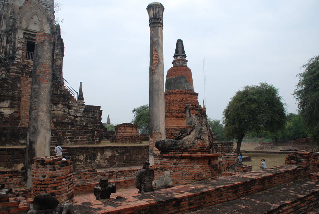 DSC_0443.JPG
