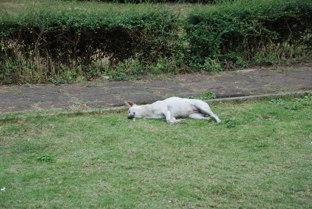 DSC_0770.JPG