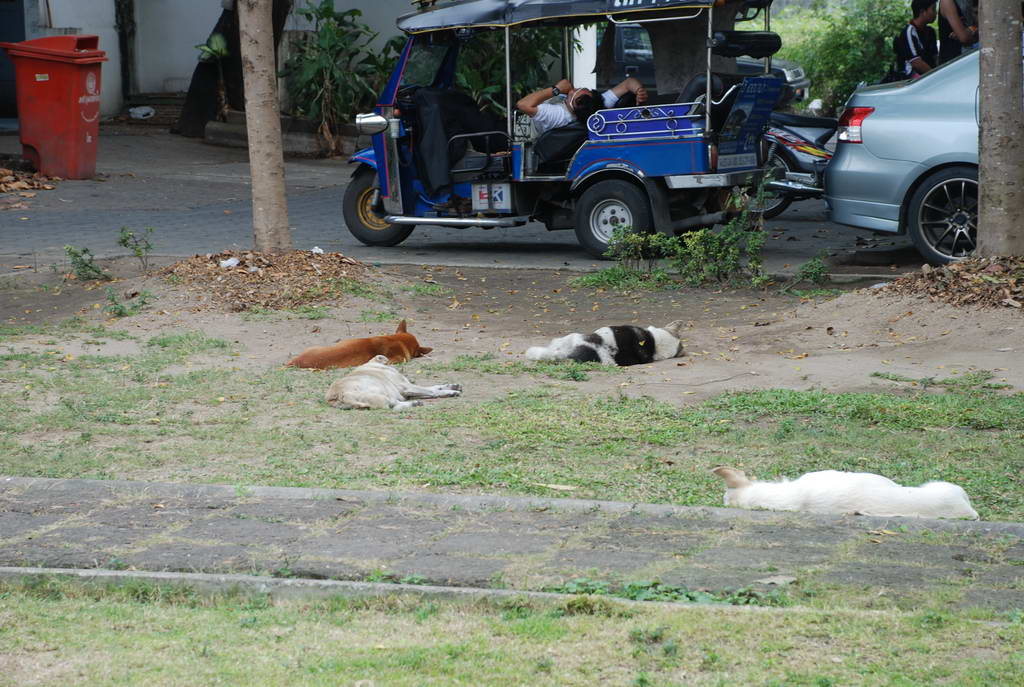 DSC_0769.JPG