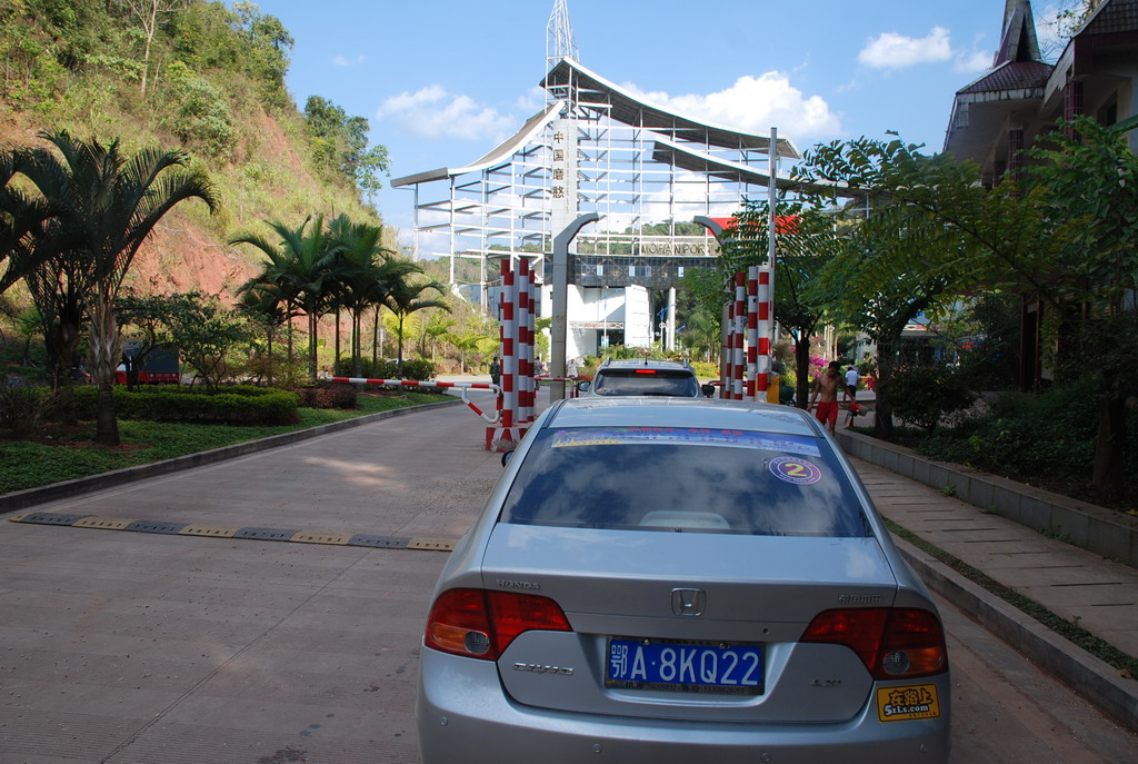 DSC_1010.JPG