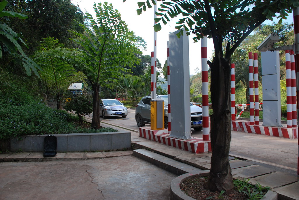DSC_1009.JPG