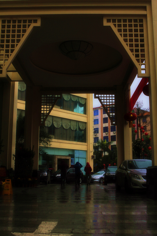 _MG_2256.jpg