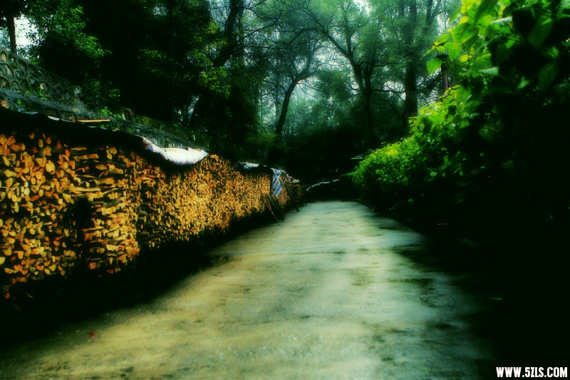_MG_2875.jpg