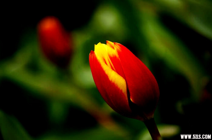 IMGP5483_.jpg