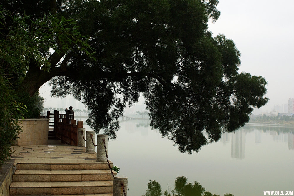 IMGP9572.jpg