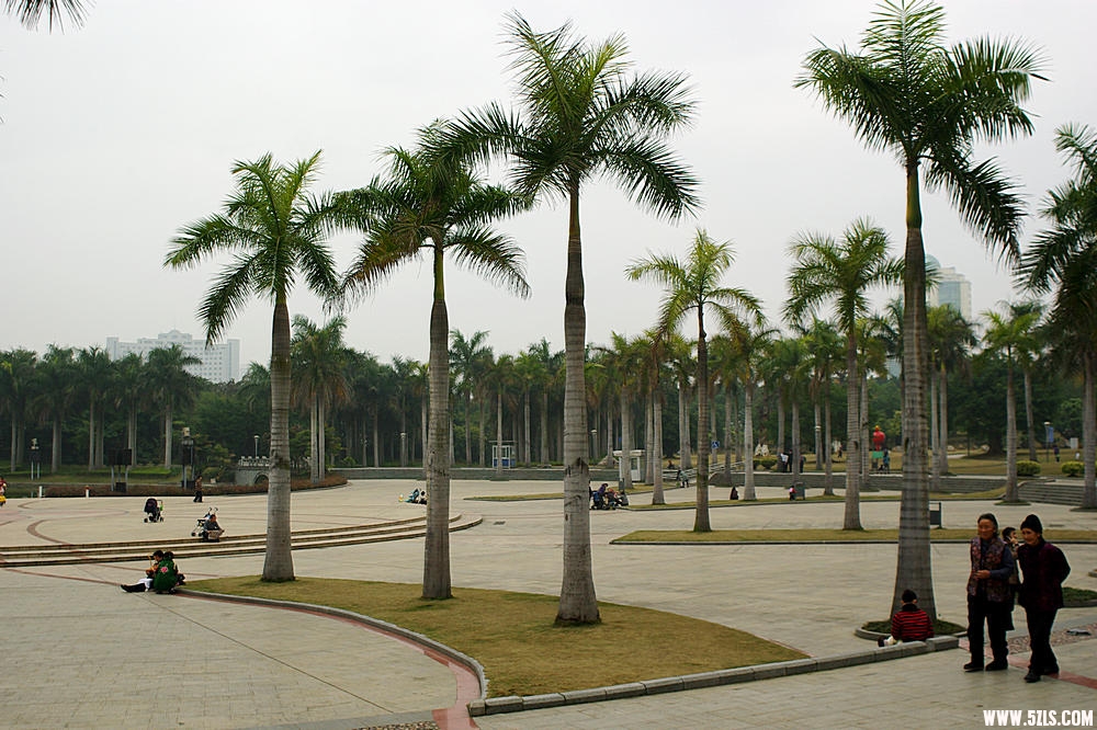 IMGP9598.jpg