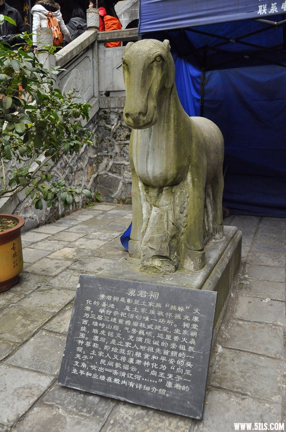 nEO_IMG_DSC_0045.jpg