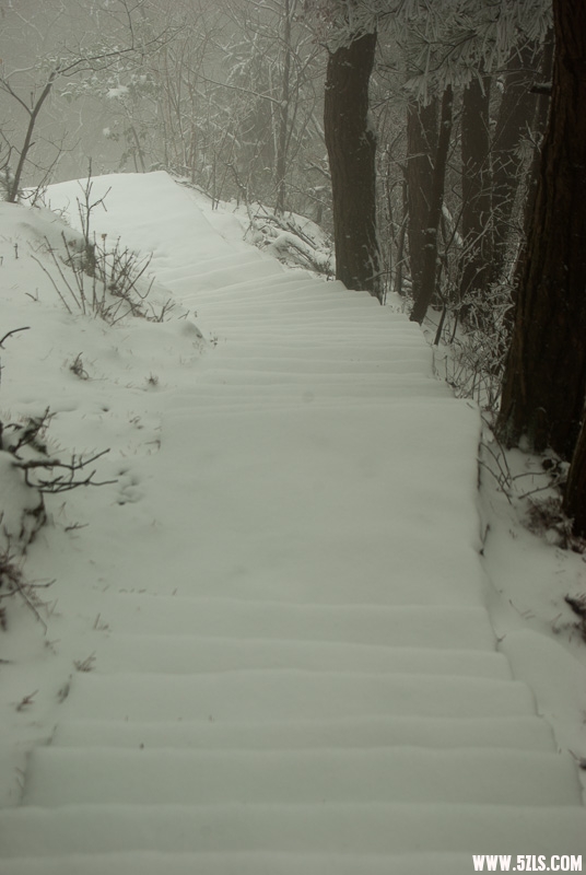 20120226-IMGP4922.jpg