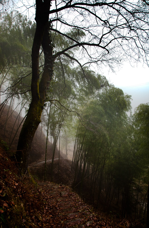 _MG_3206-4.jpg