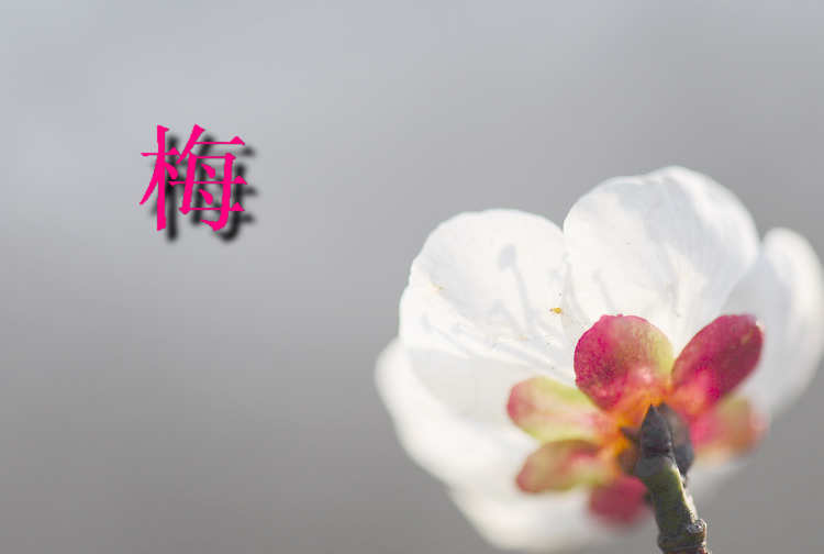 ÷ 063.jpg