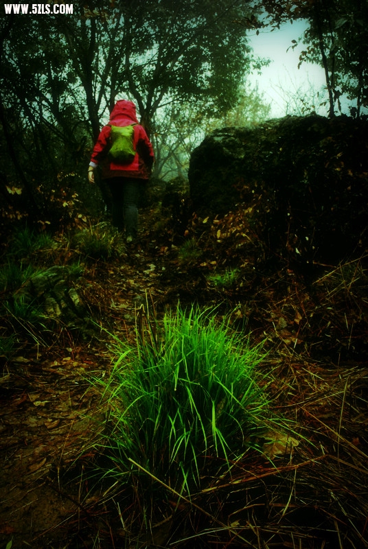 _DSC7253.jpg
