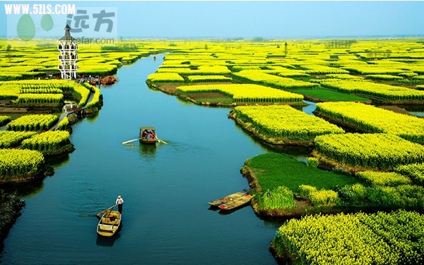C5E72DDB-5992-1083-9A96A4CEF229E51C_600.jpg