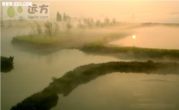 C5E72DDB-5992-1083-9A96A4CEF229E51C_600.jpg
