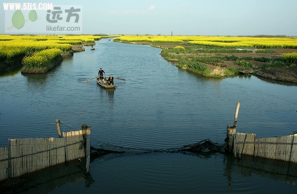 C5E72DDB-5992-1083-9A96A4CEF229E51C_600.jpg