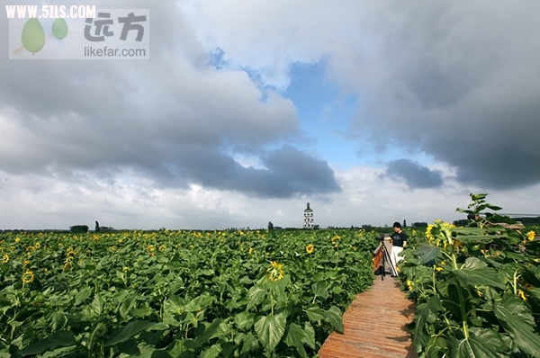 C5E72DDB-5992-1083-9A96A4CEF229E51C_600.jpg