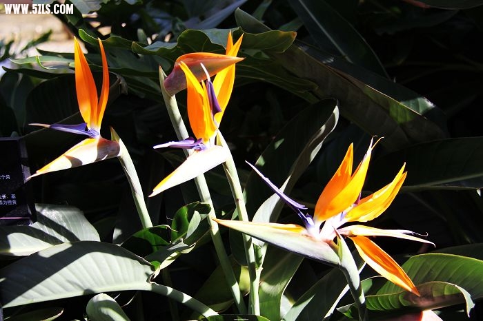 IMG_1656.JPG
